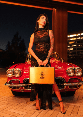 ​NEW ACE DISPOSABLE 2G MINI GEN 5